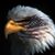 Delores Coleman's profile image