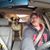 Brian Fox's profile image