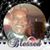 Anthony W Evans's profile image