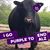 Elaine Bossingham's profile image