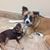 Judy LaMontagne's profile image