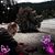 Angela Willett's profile image
