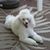 Pamela Beck's profile image