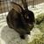 Paul Sunell's profile image