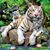 Heather Larsen's profile image
