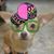 Jaimee Rabbitt's profile image