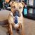 MikeandAnna Heckman's profile image