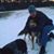 Peter J. De Angelis's profile image