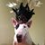 Jenpin Weng's profile image