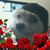 Kevin Deem's profile image