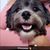 Dulce Pichardo Tucknott's profile image
