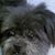 Evelyn Riley's profile image