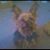 Michele Steward's profile image