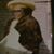 Amanda Hollins's profile image