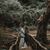 Foula Papadopoulou's profile image