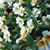Pam Littrell's profile image