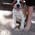 Marcie Mcbreen's profile image