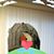 Andrea Teusink Smith's profile image