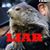 Tim Dailey's profile image