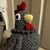 Jamie Coen Worrell's profile image