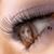 Debra Hurley Diamond Provenzano's profile image