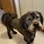 Judy Kuntz's profile image