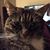 Jamie Piasecki's profile image