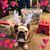 Julene Quinlan's profile image