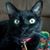 Karen Janice's profile image