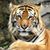 Deborah Mickle's profile image