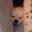 Richard Chang's profile image