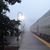 Joyce Archerfiftyfive's profile image