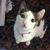 Wendy Pierce's profile image