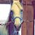 Barb Michaud's profile image