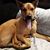 Jaime Hostetler's profile image
