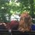 Mike Lynne Huber's profile image