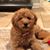 Marti Farris Carty's profile image