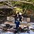 Meira Blaustein's profile image