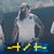 Niclas Gonzalez's profile image
