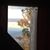 Diane Bledsoe's profile image