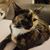 Rose Laycox's profile image