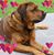 Valerie Gibouin Leroi's profile image