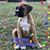 Teresa Daniels Joiner's profile image