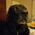 Kristine Anderson's profile image