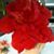 Mary Jane Perrero's profile image