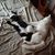 Veana Jacobs-Buzzard's profile image