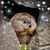 Coley Crouser's profile image