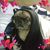 Debra J.'s profile image