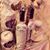 Nina Drinknstyle Corp's profile image
