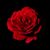 Peggy Edwards's profile image